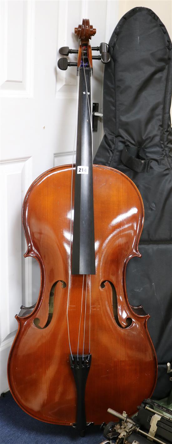 A cased cello